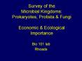 Survey of the Microbial Kingdoms: Prokaryotes, Protista PowerPoint PPT Presentation