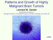 Patterns and Growth of Highly Malignant Brain Tumors