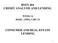 BNFN 404 CREDIT ANALYSIS AND LENDING PowerPoint PPT Presentation