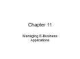 Managing E-Business Applications PowerPoint PPT Presentation