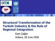 Structural Transformation of the Turkish Industry
