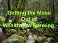Getting the Moss PowerPoint PPT Presentation