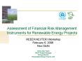 UNEP GEF Assessment of FRM instruments for large scale renewable energy projects PowerPoint PPT Presentation