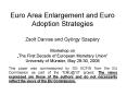 Euro Area Enlargement and Euro Adoption Strategies Zsolt Darvas and Gyrgy Szapry Workshop on The Fir PowerPoint PPT Presentation