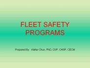 FLEET%20SAFETY%20PROGRAMS