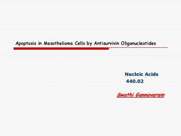 Apoptosis in Mesothelioma Cells by Antisurvivin Oligonucleotides