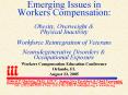 Emerging Issues in Workers Compensation: Obesity, Overweight PowerPoint PPT Presentation