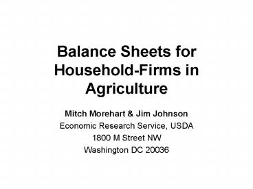 Balance Sheets for HouseholdFirms in Agriculture