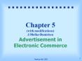 Chapter 5 (with modifications) J.Molka-Danielsen Advertisement in Electronic Commerce