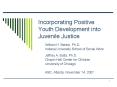 Incorporating Positive Youth Development into Juvenile Justice PowerPoint PPT Presentation