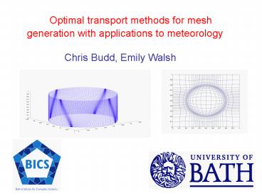 Optimal transport methods for mesh generation with applications to meteorology