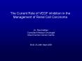 The Current Role of VEGF inhibition in the Management of Renal Cell Carcinoma PowerPoint PPT Presentation