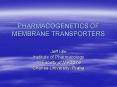 PHARMACOGENETICS OF MEMBRANE TRANSPORTERS PowerPoint PPT Presentation