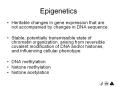 Epigenetics PowerPoint PPT Presentation