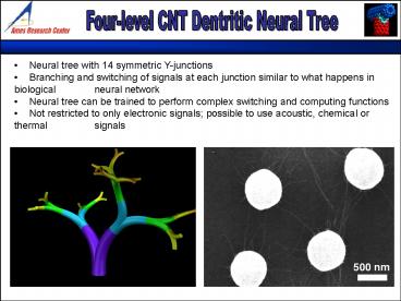Fourlevel CNT Dentritic Neural Tree