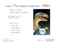Lead (  Pb) Radius Experiment :  PREX