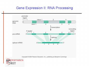 Gene Expression II: RNA Processing