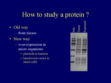 How to study a protein