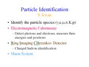 Particle Identification S. Kwan