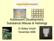 Adolescent Development, Substance Misuse