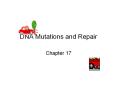 DNA Mutations and Repair PowerPoint PPT Presentation