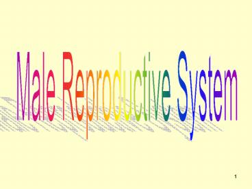 Male Reproductive System