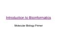 Introduction to Bioinformatics PowerPoint PPT Presentation