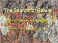 The Search for Beauty PowerPoint PPT Presentation
