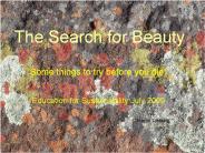 The Search for Beauty