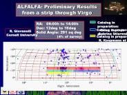 ALFALFA: Preliminary Results