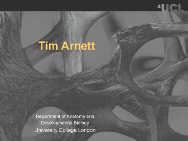 Department of Anatomy and