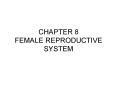 CHAPTER 8 FEMALE REPRODUCTIVE SYSTEM PowerPoint PPT Presentation