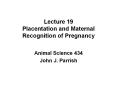 Lecture%2019%20Placentation%20and%20Maternal%20Recognition%20of%20Pregnancy PowerPoint PPT Presentation