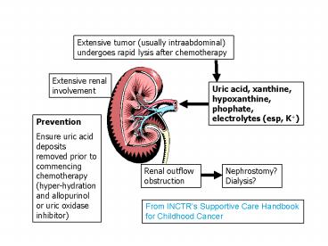 Extensive renal involvement