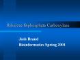 Ribulose Biphosphate Carboxylase PowerPoint PPT Presentation