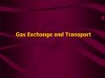 Gas Exchange and Transport PowerPoint PPT Presentation
