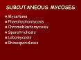 SUBCUTANEOUS MYCOSES PowerPoint PPT Presentation