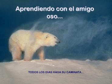 TODOS LOS DIAS HAGA SU CAMINATA'''