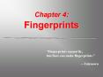 Chapter 4: Fingerprints PowerPoint PPT Presentation