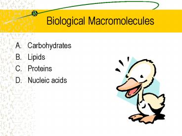 Biological Macromolecules