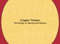 Chapter Thirteen The Biology of Learning and Memory PowerPoint PPT Presentation