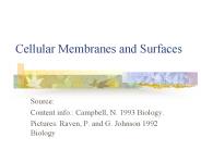 Cellular Membranes and Surfaces