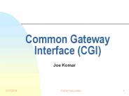 Common Gateway Interface (CGI)