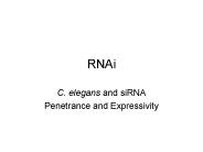 RNAi