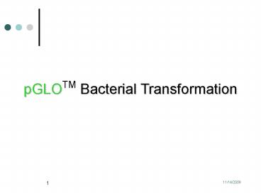 Transformation and Protein Purification