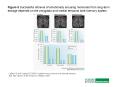 LaBar KS and Cabeza R 2006 Cognitive neuroscience of emotional memory PowerPoint PPT Presentation