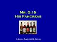 Mr' G'I PowerPoint PPT Presentation