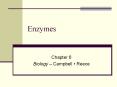 Enzymes PowerPoint PPT Presentation