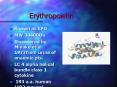 Erythropoietin PowerPoint PPT Presentation