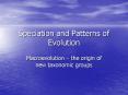 Speciation and Patterns of Evolution PowerPoint PPT Presentation